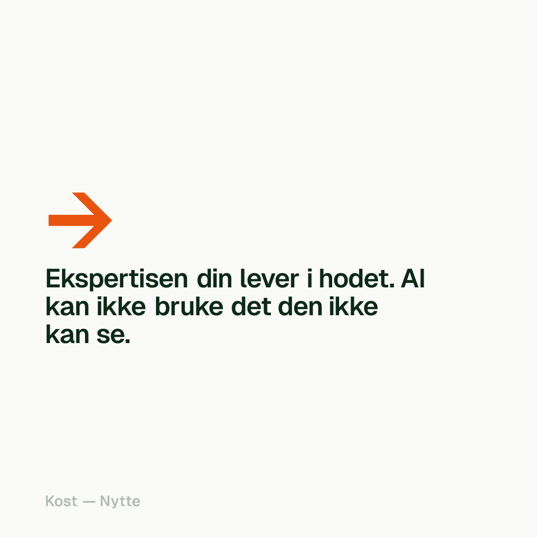 AI kan ikke bruke det den ikke kan se.